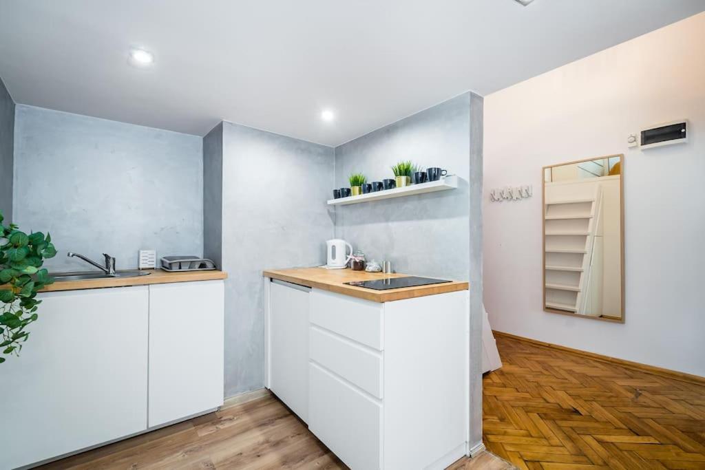 Royal City Apartment 40 M2 Krasków Eksteriør bilde